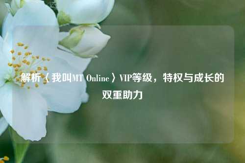 解析〈我叫MT Online〉VIP等级，特权与成长的双重助力