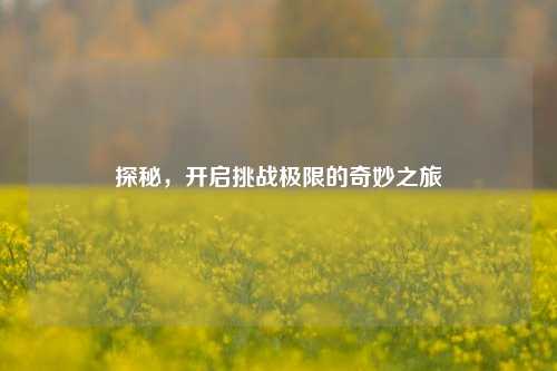 探秘，开启挑战极限的奇妙之旅