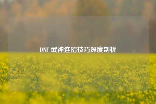 DNF 武神连招技巧深度剖析