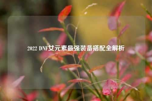 2022 DNF女元素最强装备搭配全解析
