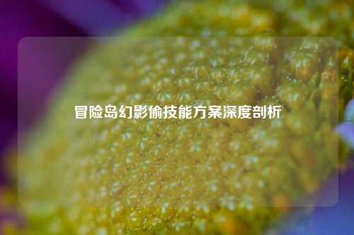 冒险岛幻影偷技能方案深度剖析