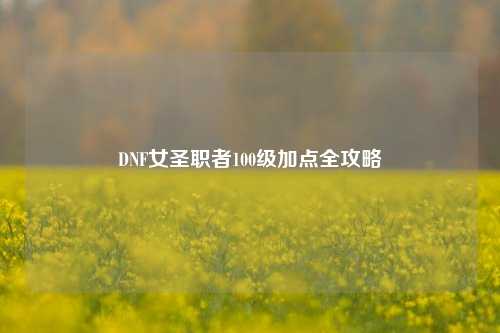 DNF女圣职者100级加点全攻略