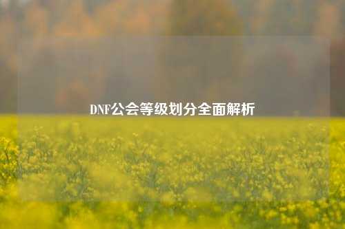 DNF公会等级划分全面解析