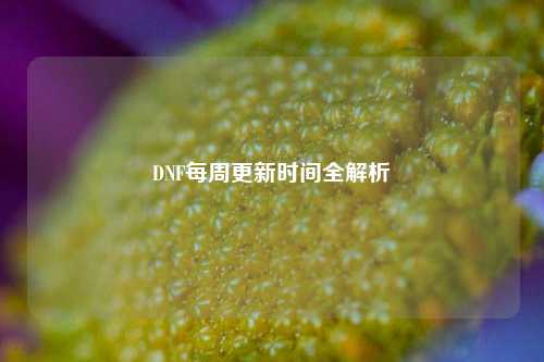 DNF每周更新时间全解析