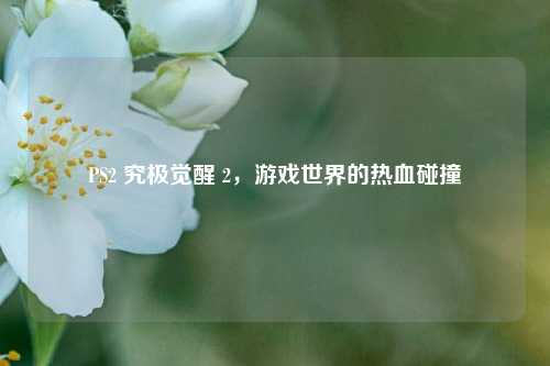 PS2 究极觉醒 2，游戏世界的热血碰撞