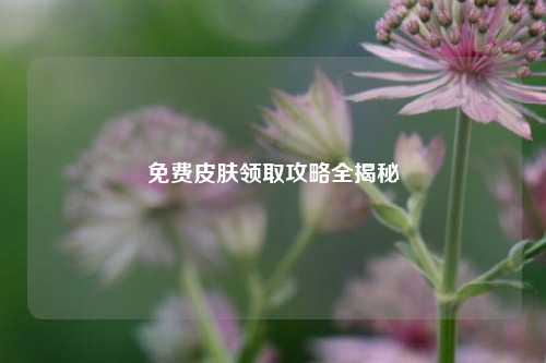 免费皮肤领取攻略全揭秘