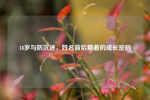 18岁与防沉迷，姓名背后藏着的成长密码