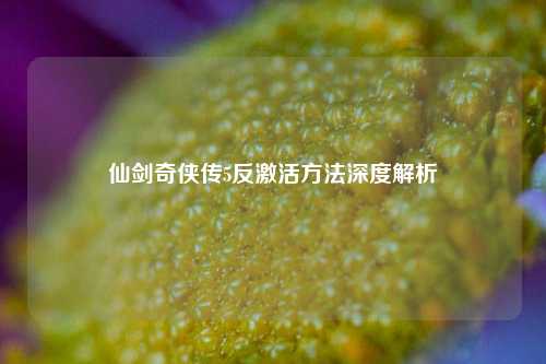 仙剑奇侠传5反激活方法深度解析