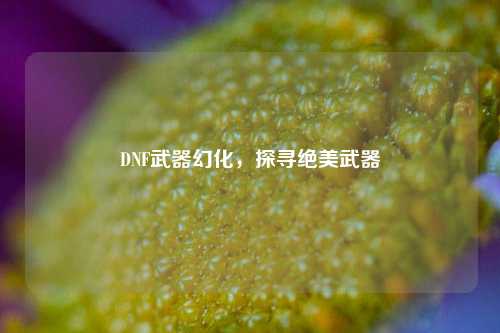 DNF武器幻化，探寻绝美武器